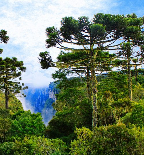 Urbia-Canions-Verdes-Parque-Nacional-Aparados-da-Serra-Geral copiar